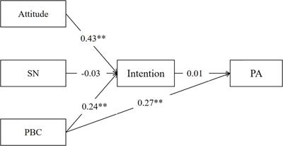 From Physical Activity Intention to Behavior: The Moderation Role of Mental Toughness Among College Students and Wage Earners